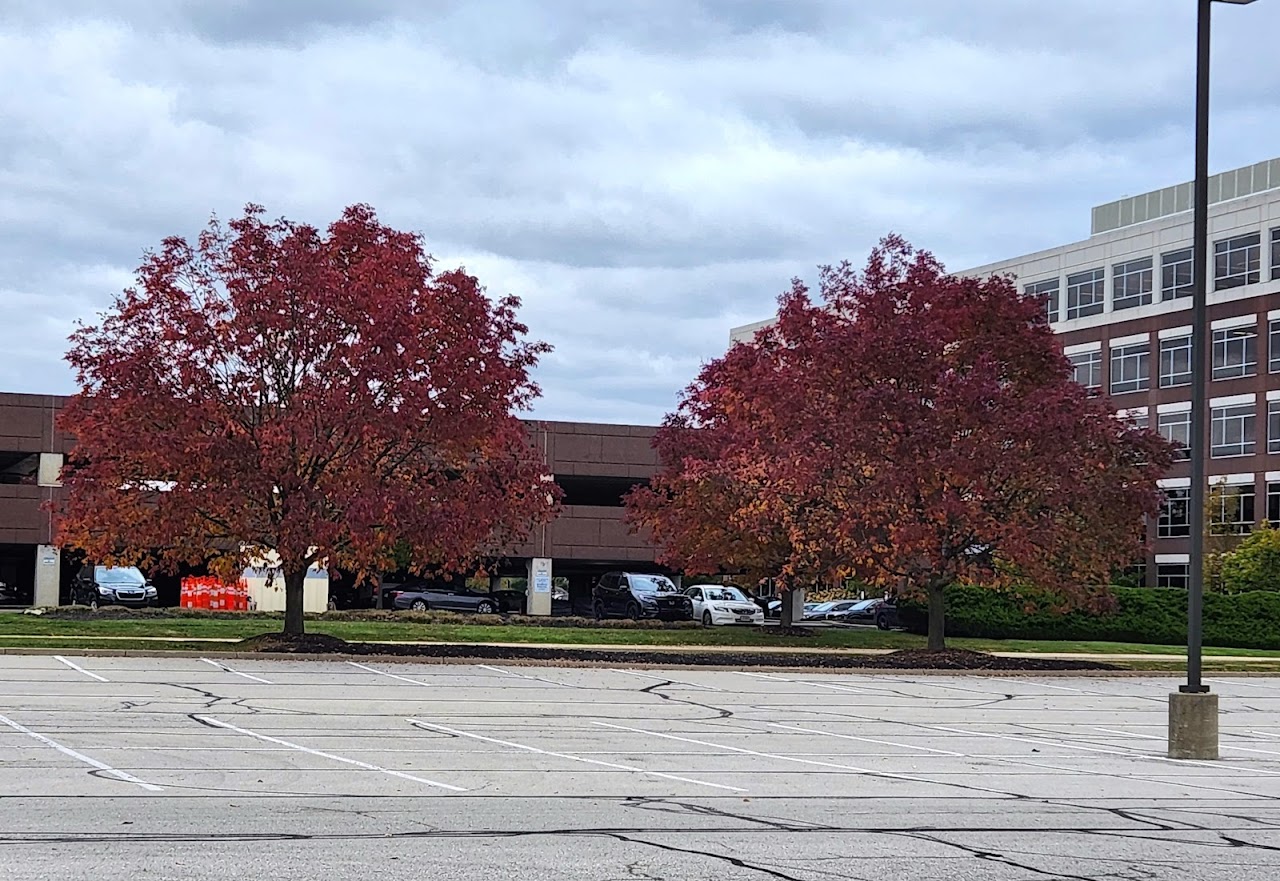 Quick Bad Credit Loans - exterior - Carmel, Indiana