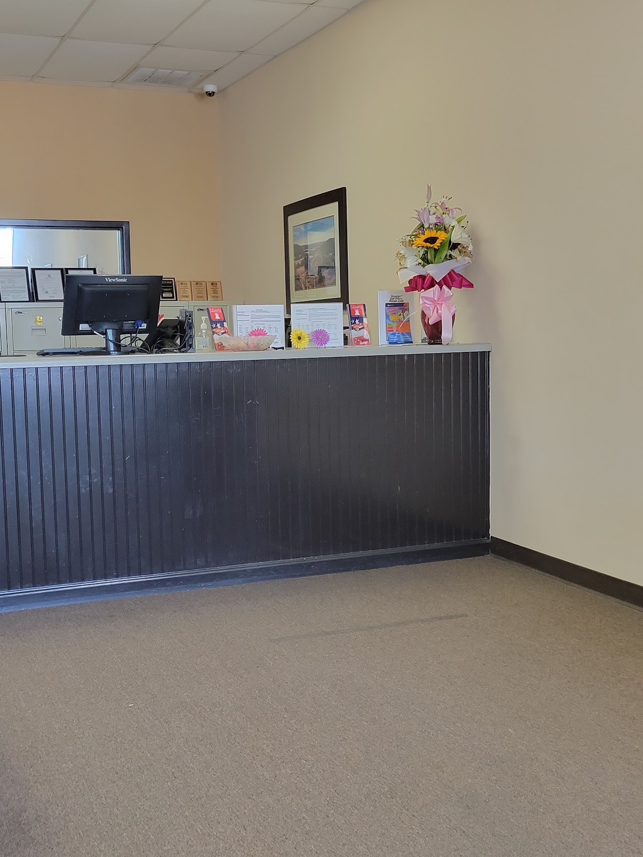 Texas Car Title and Payday Loan Services, Inc. payday loans in Houston, Texas (TX)