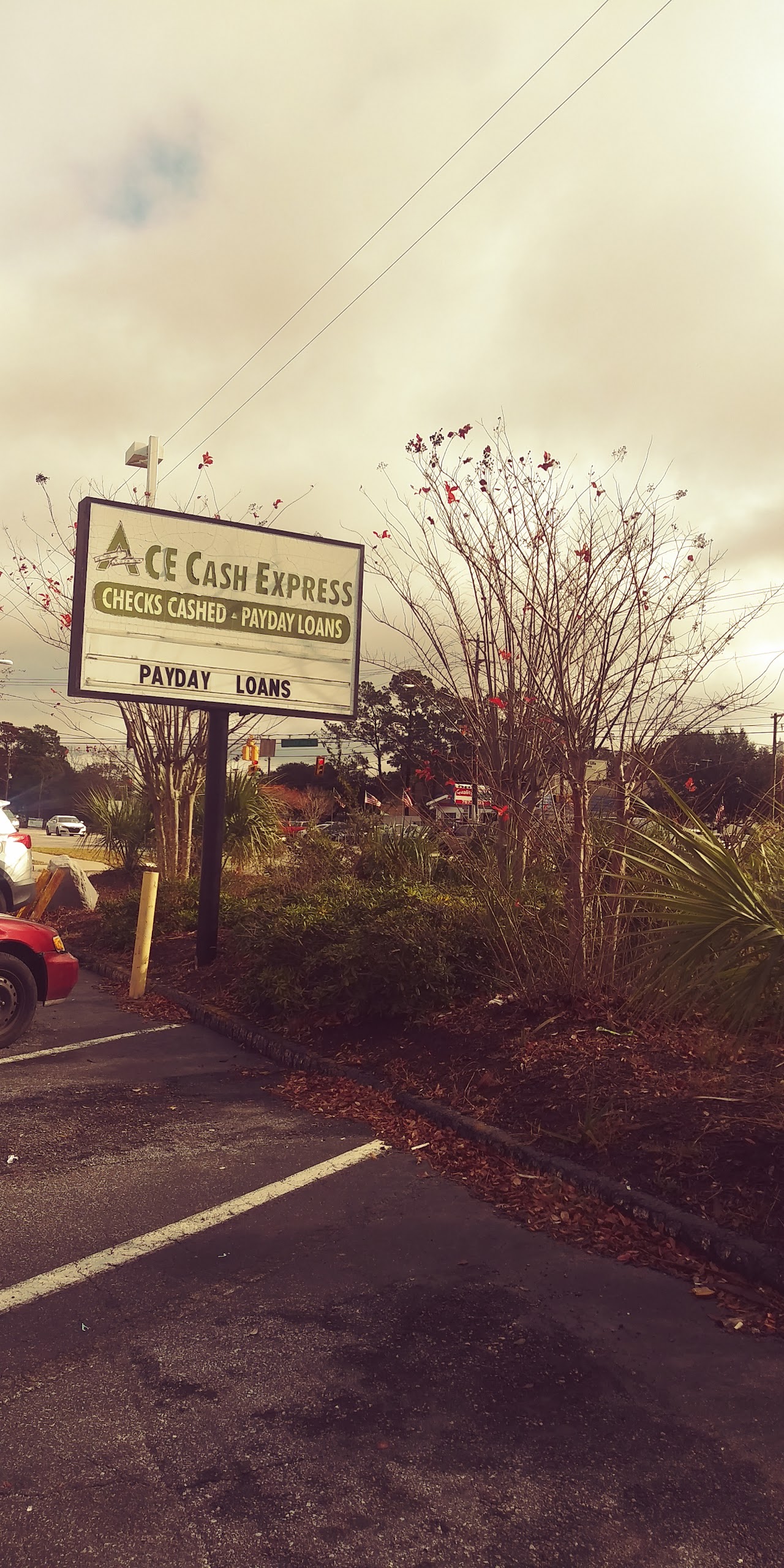 ACE Cash Express - exterior - Mount Pleasant, South Carolina