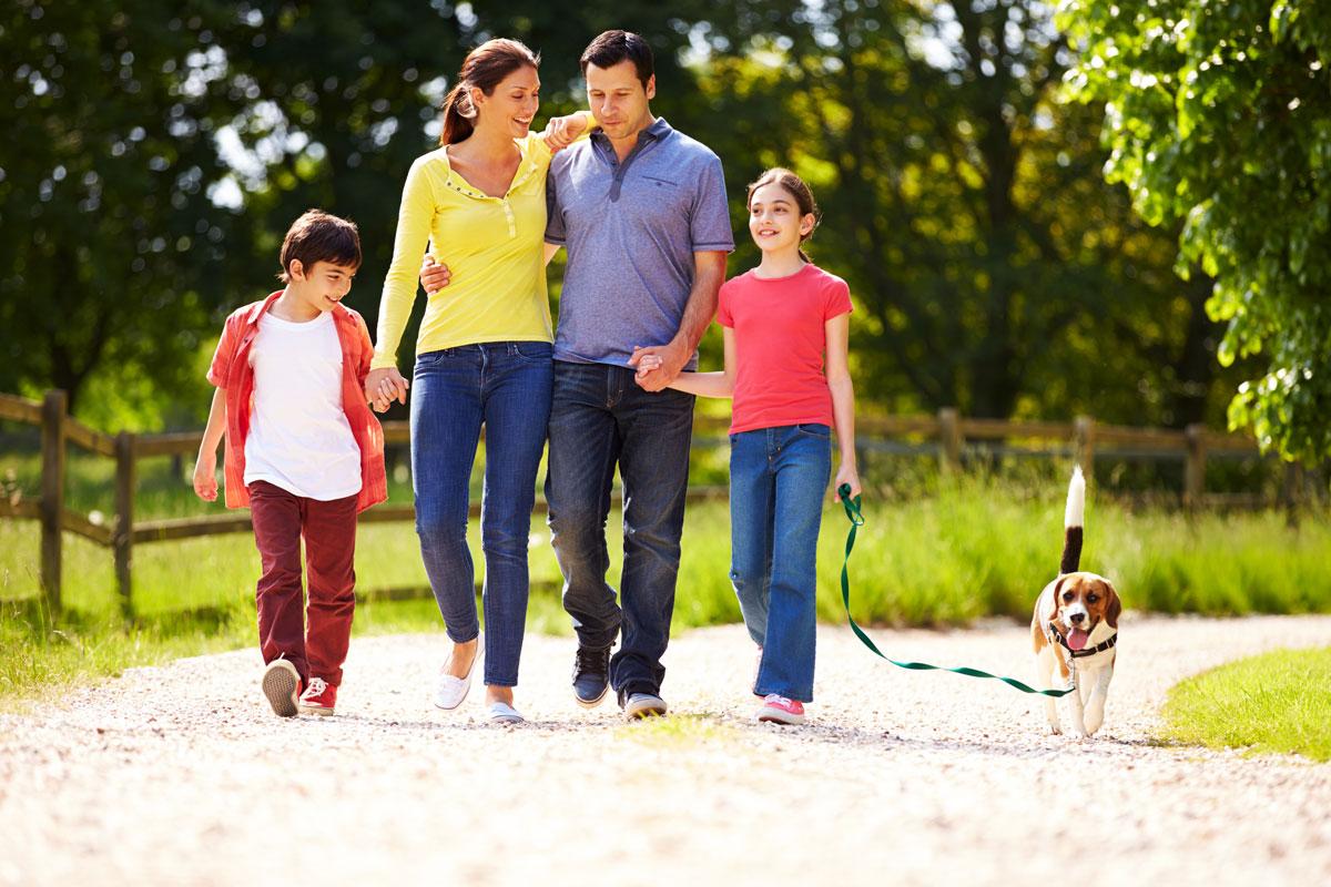 King of Kash payday loans in Salt Lake City, Utah (UT)